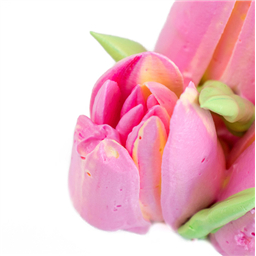 Насадка (диск) для зефирных цветов №4